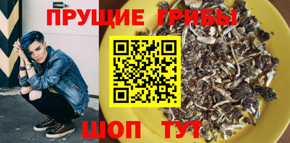 Галлюциногенные грибы Psilocybe Учалы